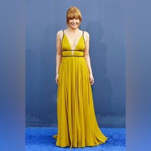 NWT SOLD OUT BRYCE DALLAS HOWARD TOP SHOP DRESS